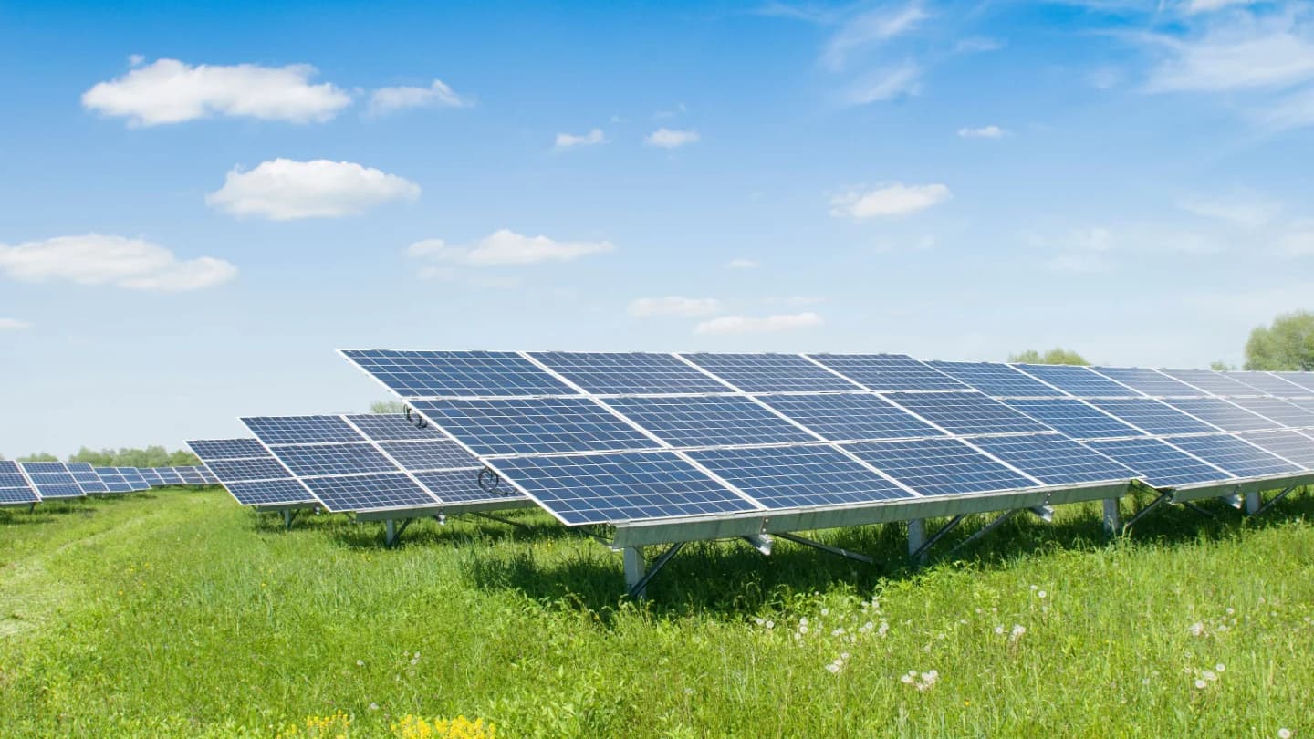 Photovoltaik und Dachbegrünung: Synergien nutzen