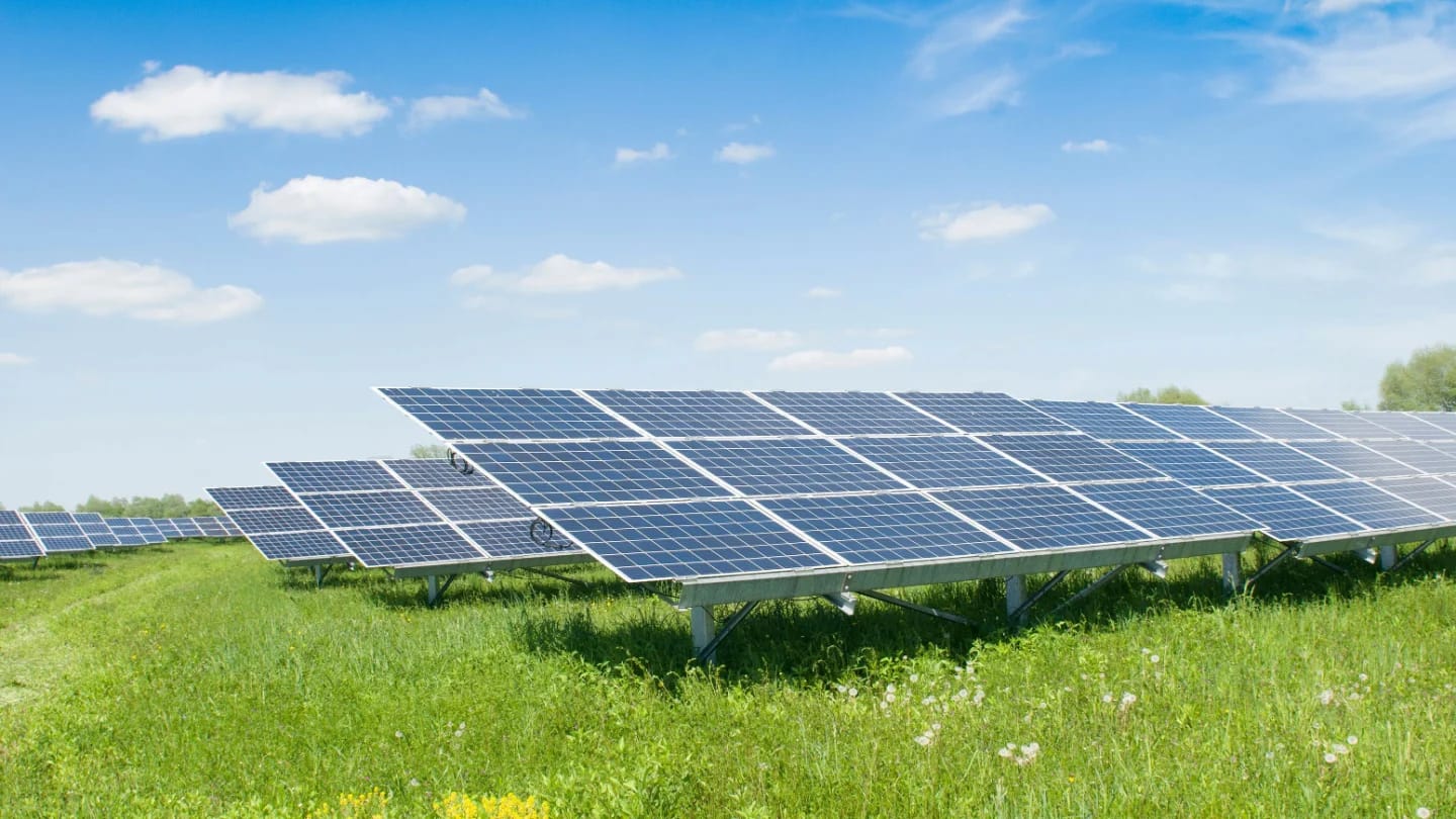 Photovoltaik und Dachbegrünung: Synergien nutzen