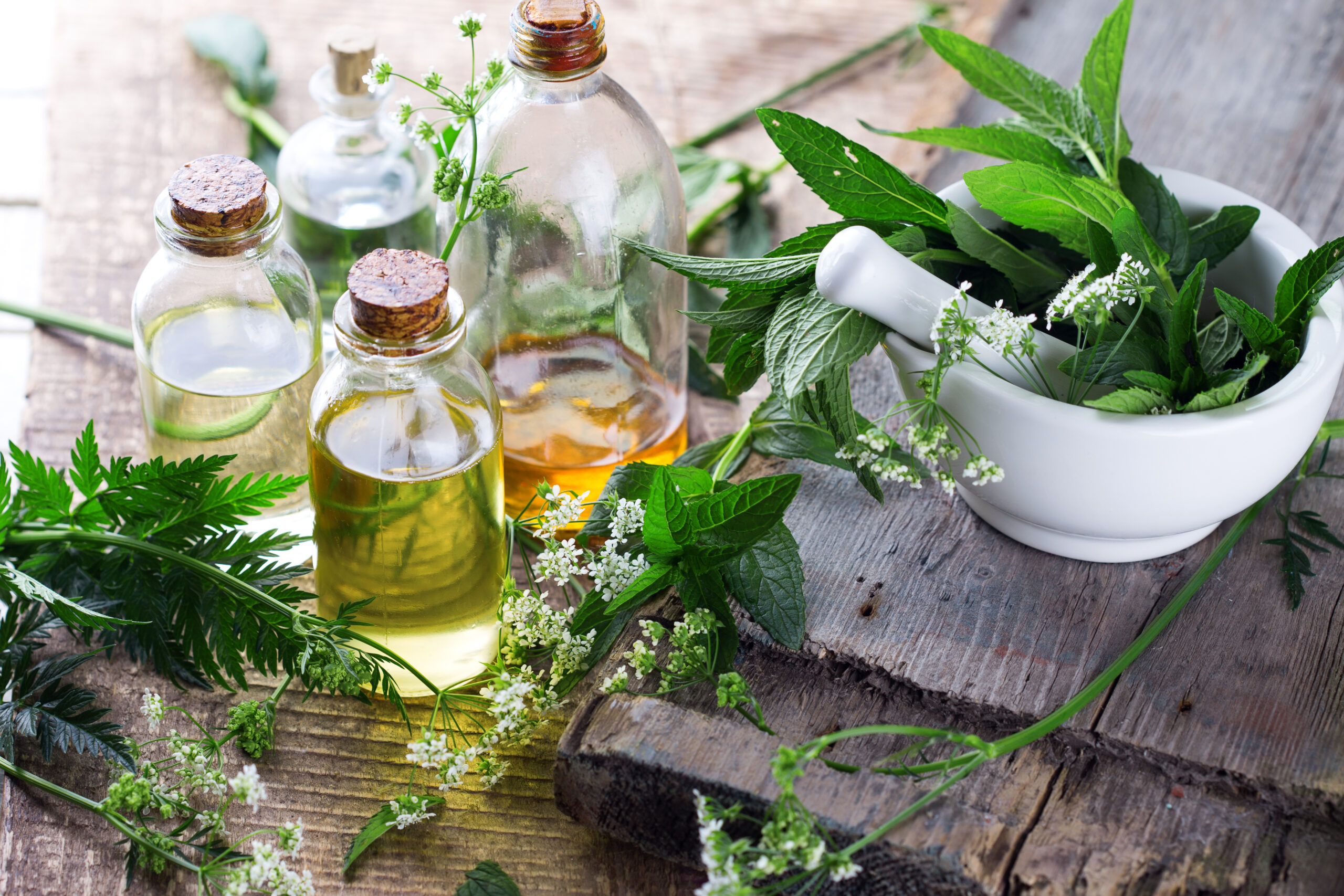 Naturkosmetik Fusion: Wo Natur und Schönheit zusammenkommen