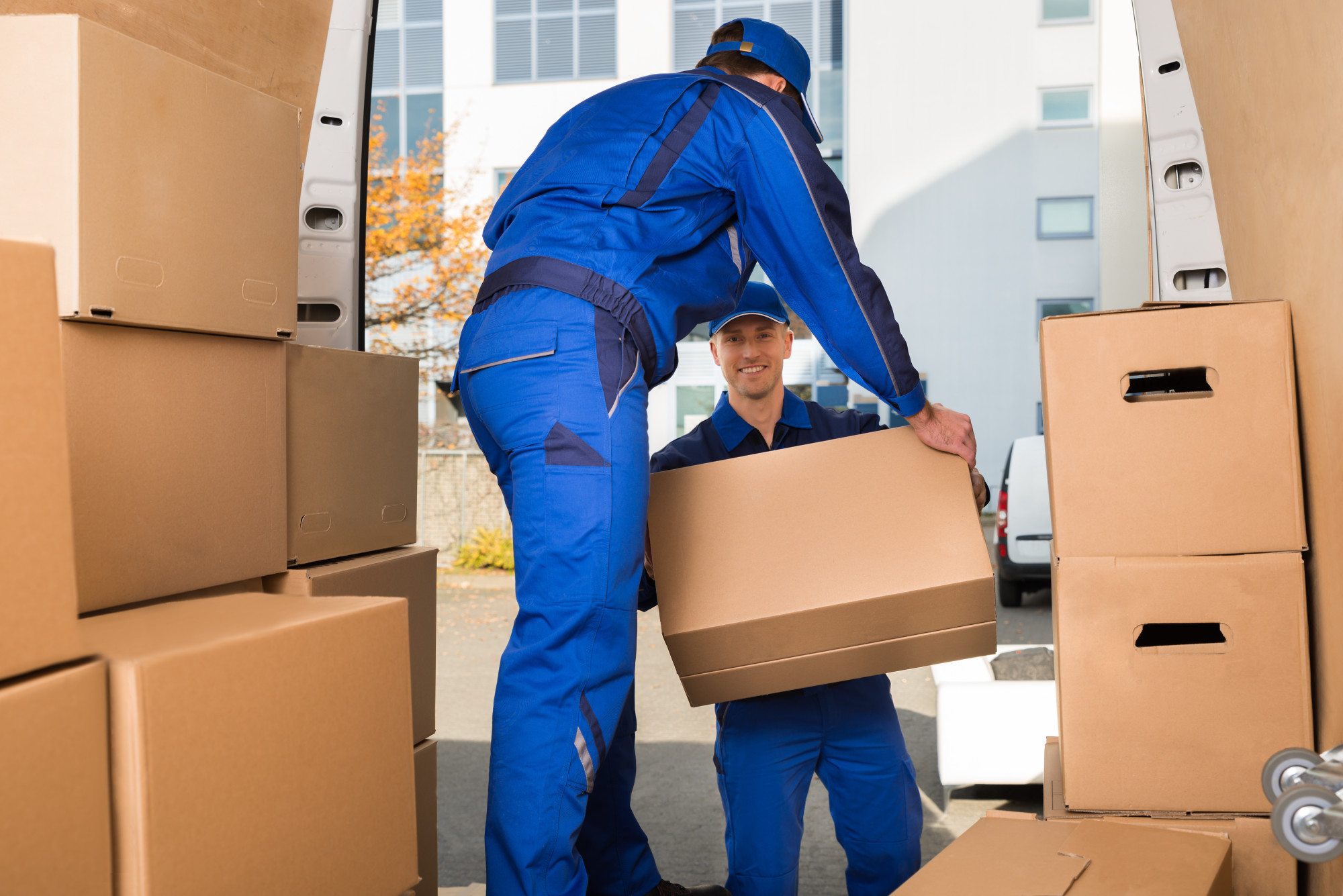 Effiziente Lösungen von Meister-Job – Umzugsunternehmen in der Nähe